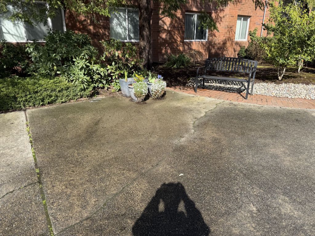 junk removal Tacoma furniture removal after
