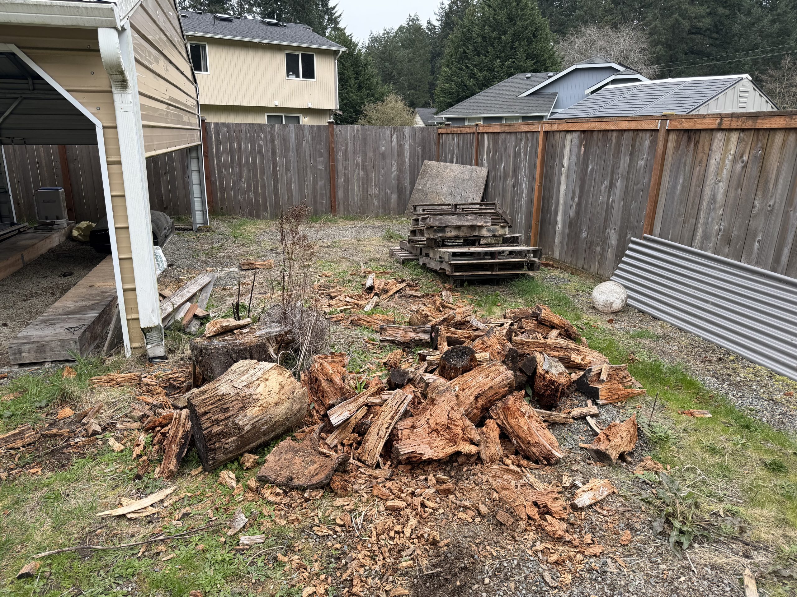 yard debris removal Tacoma wood debris and pallets before cleanup