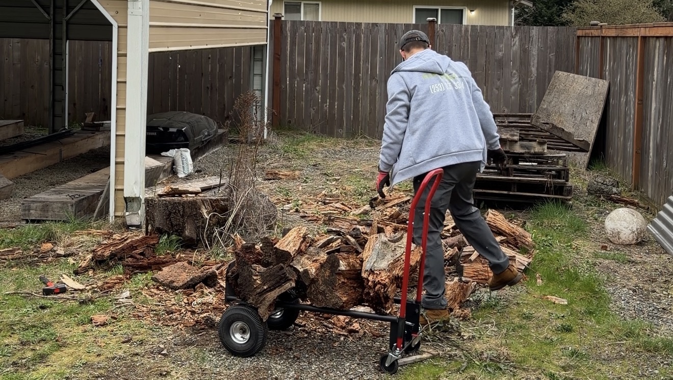 yard debris removal Tacoma removing tree debris from backyard